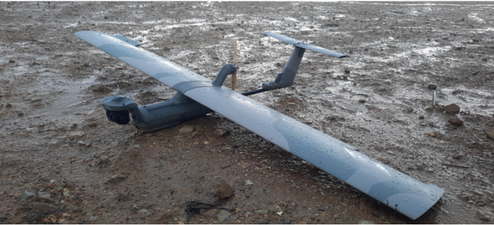 NP_037_Aurea I NP_037_Aurea I