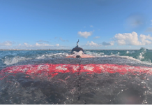 Successful trial of UK’s first autonomous military submarine spurs extended collaboration Autonomous military submarine