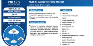 Multi-Cloud Networking Market Size Worth USD 36.56 Billion by 2034 | CAGR: 22.5% Multi-Cloud Networking Market