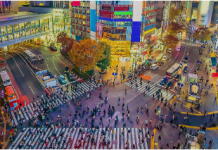 Quectel to showcase TELEC-certified EG800AK-JP alongside IoT solutions portfolio at Japan IT Week Spring 2026 Japan IT Week